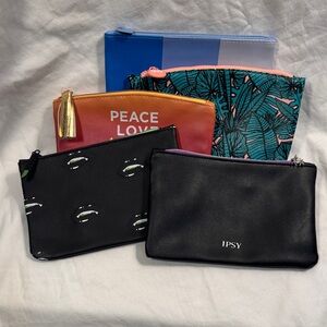 Ipsy and Vibrant Cosmetic Bag Collection
